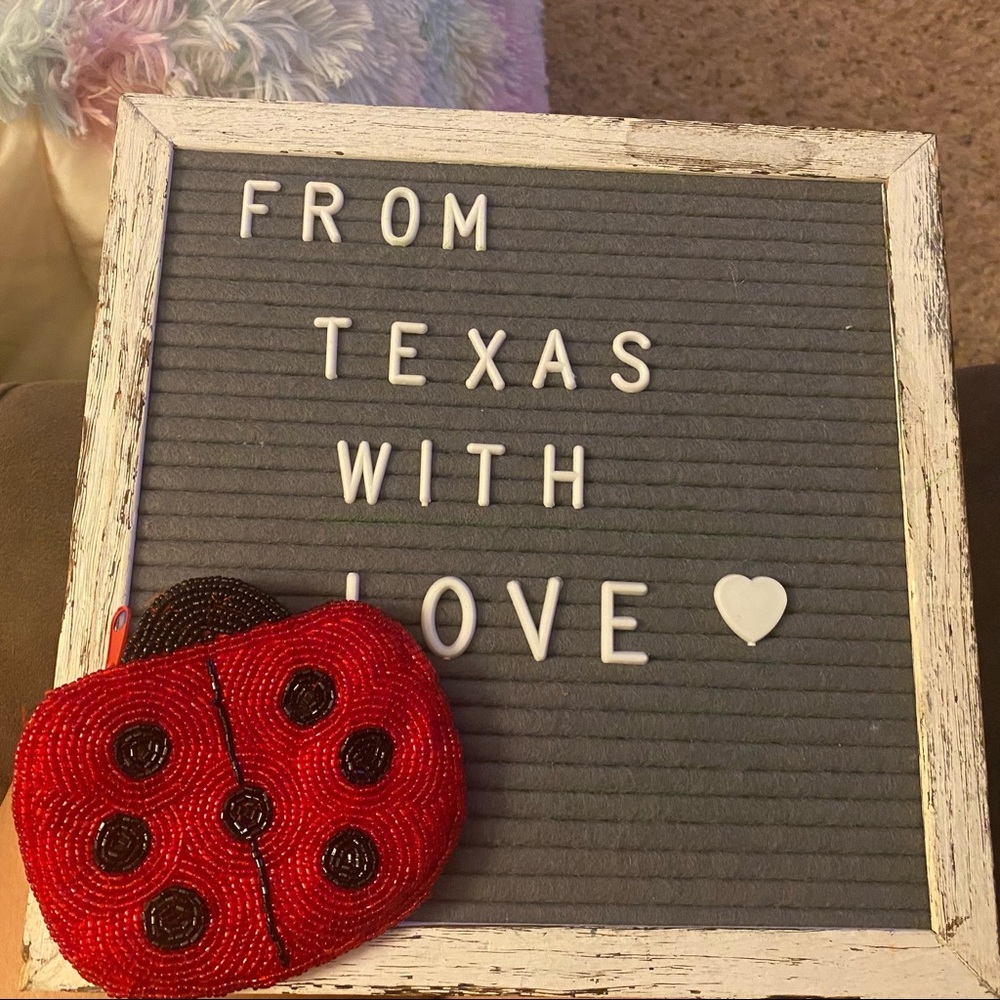 Ladybug Coin Purse Beaded with Glass beads
